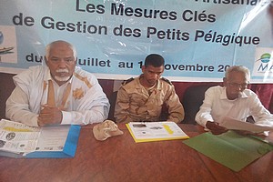 Les mesures clés de gestion de la pêcherie des PP