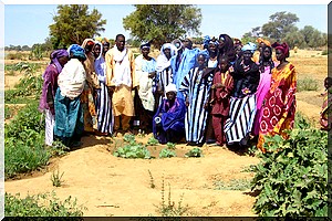 Campagne agricole contre saison 2015 : Les paysans du CPB disqualifiés !