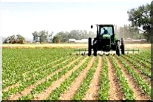 La Mauritanie et l'Egypte vont exploiter un périmètre agricole dans le sud mauritanien 