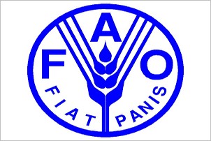 Mauritanie : 430 mille dollars de la FAO pour booster la production maraîchère