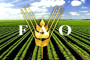  Fao : la Mauritanie ne doit pas se suffire de la pluviométrie pour assurer la sécurité alimentaire