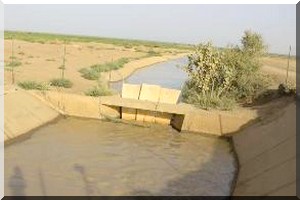 Mauritanie-Sonader : Exploitation du périmètre de Gouraye, réaction par rapport à la lettre de Monsieur Adama Abdoul N’diaye