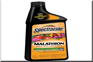Alerte, le Malathion produit toxique interdit en Europe est introduit en Mauritanie