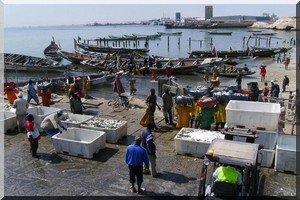Mauritanie: les mareyeurs demandent une augmentation de la redevance due par le Sénégal 