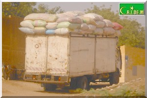 Société : Cheptel. Á défaut d’herbe, le carton [PhotosReportage]