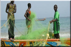 Mauritanie: faute d'accord, les pêcheurs sénégalais sont au chômage technique