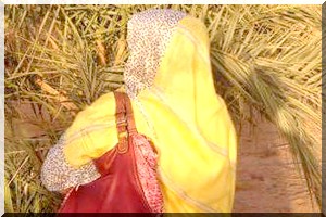 SOUVENIR : Tranche de vie : Partie (suite et fin)