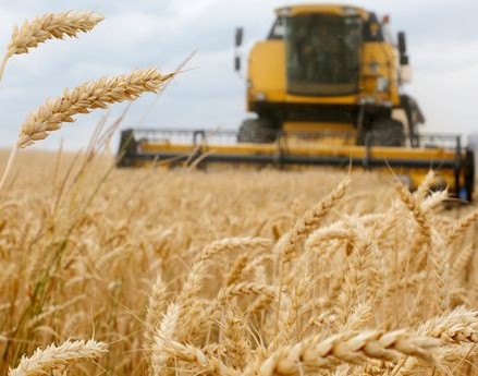 Mauritanie: «Un risque d'insécurité alimentaire plus grand» en l'absence d’accord céréalier russo-ukrainien