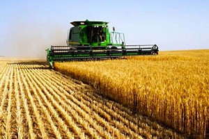 Afrique du Nord: La BAD recommande aux gouvernements de soutenir les petits exploitants agricoles 