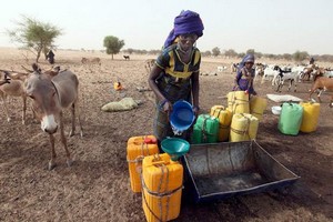 FAO. Sécurité alimentaire: 31 pays africains dont la Mauritanie ont besoin d’une aide alimentaire