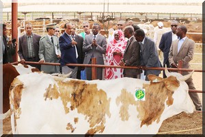 Sénégal-Mauritanie : plus de 4 milliards de francs CFA pour améliorer la production laitière 