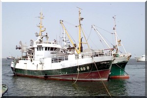 Les cinq contre-vérités de Mohamed Habiboullah Sur « l’affaire Meyloud »