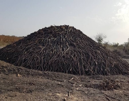 Tékane : Menaces sur l’Environnement du village 