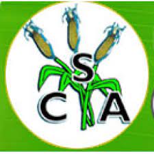 Fourniture de riz : Le CSA passe deal avec 4 entités locales (3,589 milliards mro) 