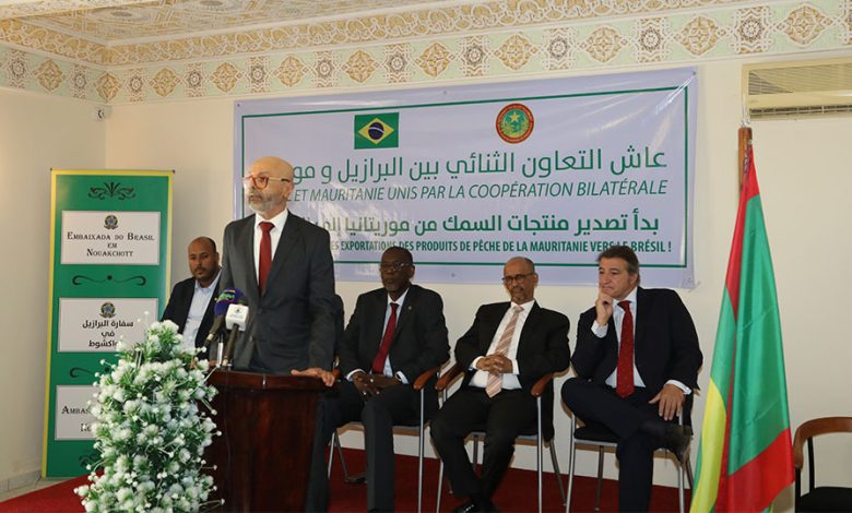 Produits de la Pêche : Brésil, nouvelle destination des petits pélagiques mauritaniens