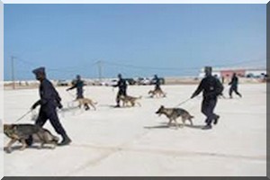 Coopération Mauritanie-Algérie : Sortie d’une promotion d’officiers mauritaniens