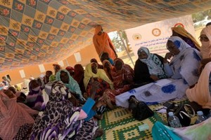 Journée internationale de la femme rurale : Cri de cœur de la femme de N’Guerdian - En images...