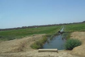 Ferme de M’Pourié : Ould Ghassem succède à Ould Wavi après 33 jours de sa nomination