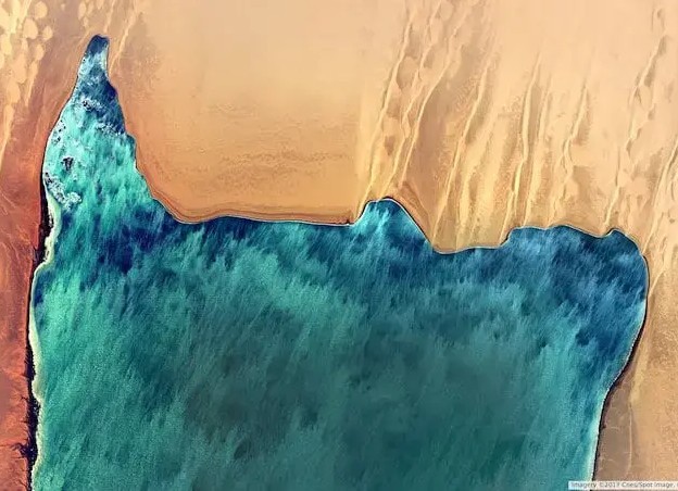 Un financement de l’AFD : 9 millions d’euros pour renforcer la protection de la biodiversité marine dans le banc d’Arguin 