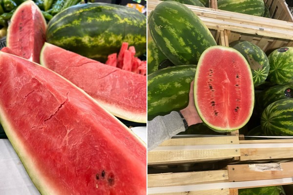 Allemagne : « Démarrage précoce pour les pastèques mauritaniennes, demande modérée pour les tomates turques »