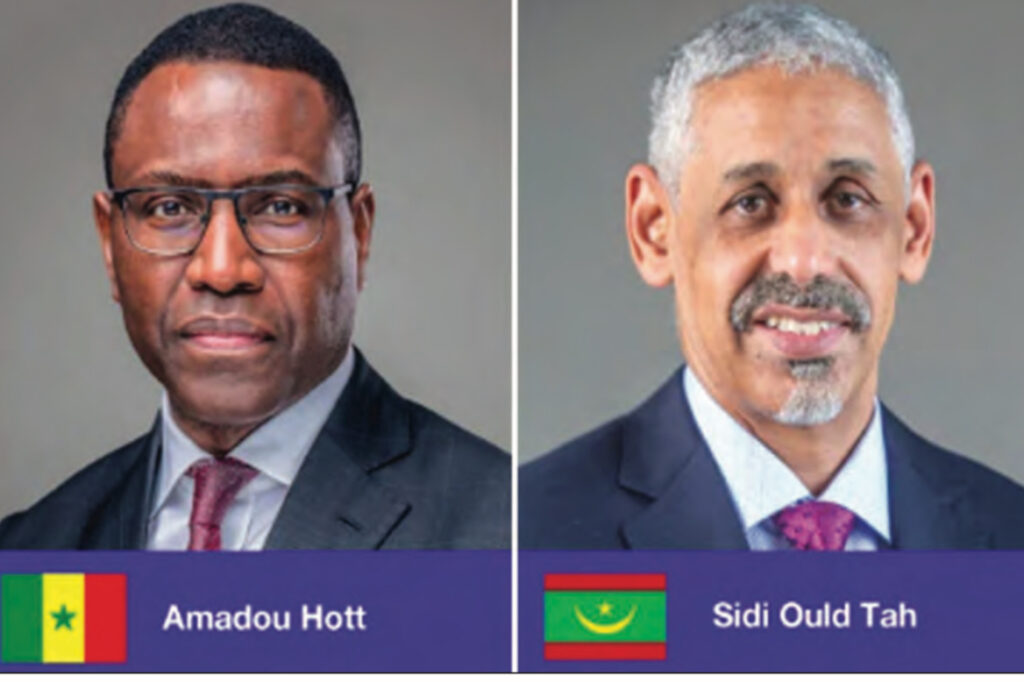 Élection à la tête de la BAD : la défaite du Sénégalais Amadou Hott était prévisible, selon un spécialiste