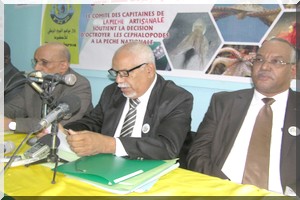 Nouadhibou : Troisième anniversaire de la journée du poulpe