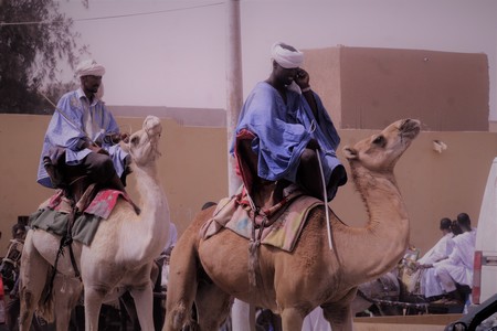 Lancement de la troisième édition du Festival Korel Nomade, avec le défilé des chevaux et des dromadaires