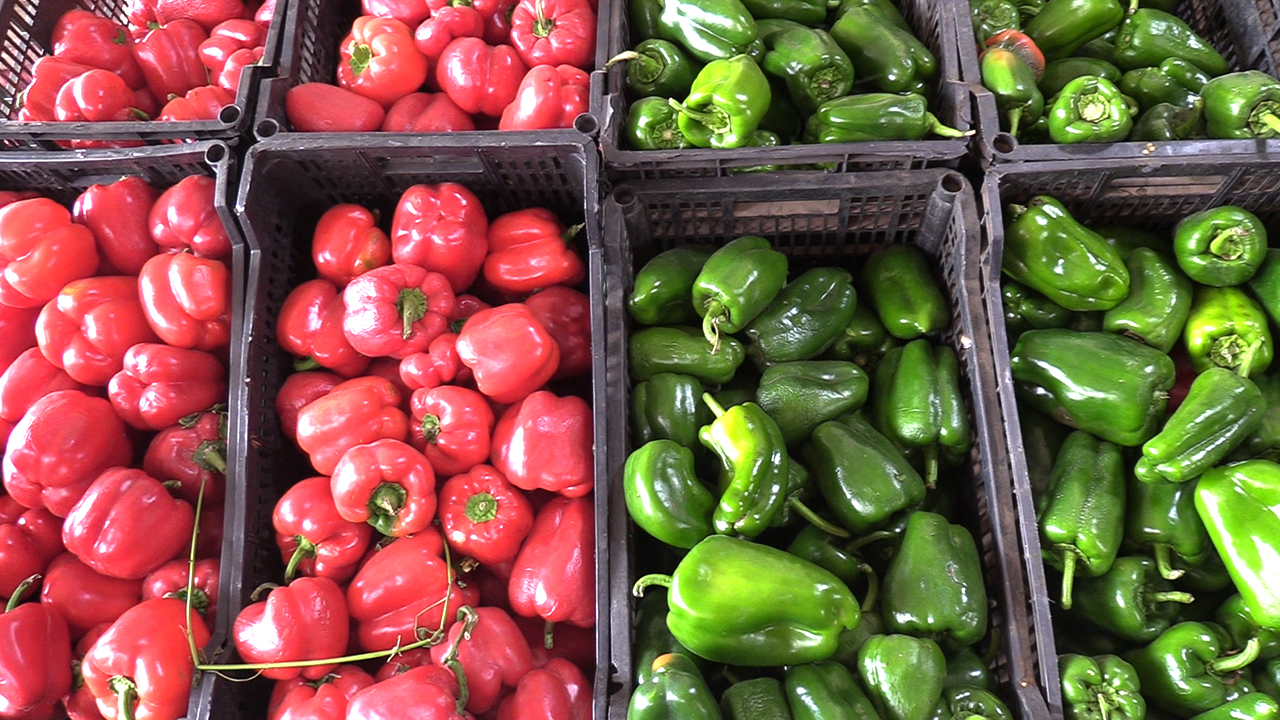 Hausse des droits de douane en Mauritanie sur les légumes: tensions au marché «marocain» de Nouakchott