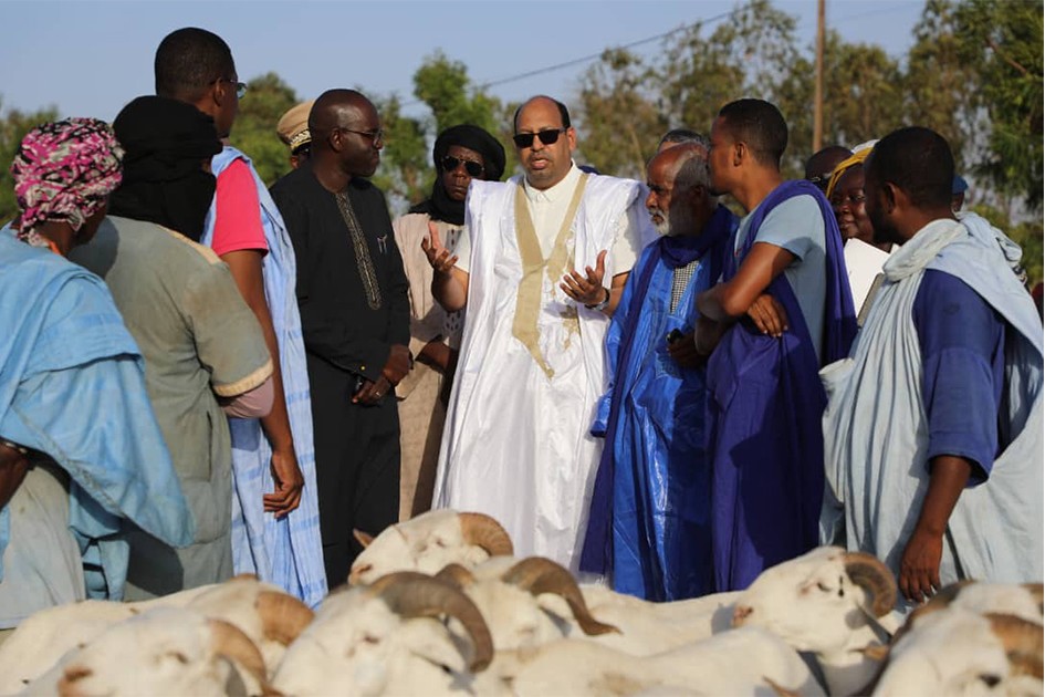 La vente de moutons de sacrifice au Sénégal a généré plus de 8 milliards pour la Mauritanie