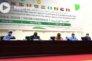 Vidéo. La Grande muraille verte en conclave à Nouakchott 