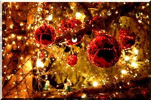 Le Prophète Isa dit ‘Jésus’ (Paix soit sur lui, est-il né le 25 Décembre? L’origine de noël ?