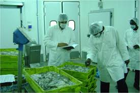 ONISPA : un concours calibré pour valider des choix déjà faits ?