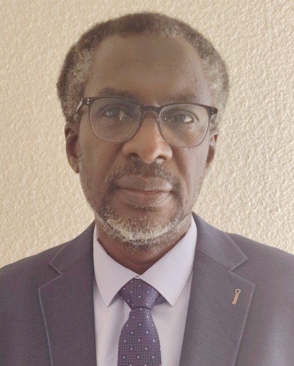 Pour une diaspora mauritanienne enfin représentée : Dépasser l'entre-soi et structurer l'avenir