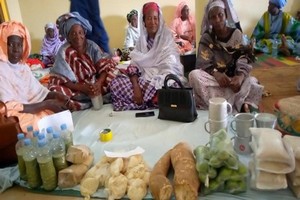 Boghé : des journées portes ouvertes pour promouvoir l'artisanat, la culture et le maraîchage