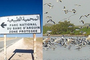 Mauritanie: la direction du Banc d'Arguin décide la réouverture du campement d’Arkis