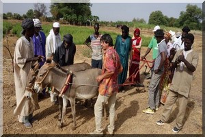 En Mauritanie, Georges Ballade forme les paysans