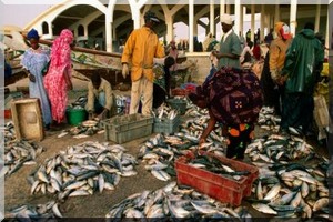 La Mauritanie veut mettre plus de transparence dans le secteur de la pêche