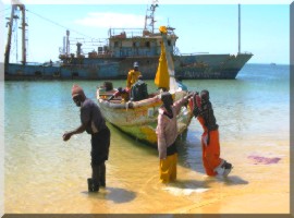 Le gouvernement espagnole critique sévèrement les accords de pêche Mauritanie-UE. 