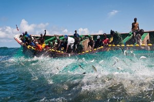 Pêche en Mauritanie : Les Guet-ndariens devront patienter jusqu’en 2019
