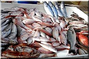 Pêches: le système des quotas décrié