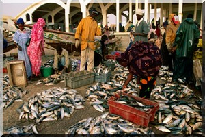 La Mauritanie signe un nouvel accord de pêche avec l’Union européenne.
