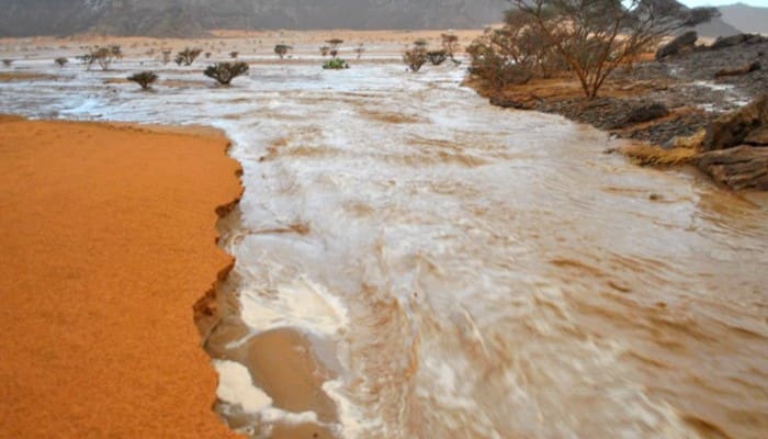 Quatre enfants meurent noyés dans une mare d’eau près d’Aghchorguit