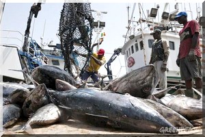 Réunion des experts de la commission mauritano-sénégalaise des pêches