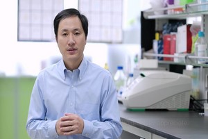 Le gouvernement chinois déclare les recherches sur les bébés OGM illégales
