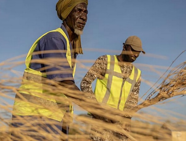 Vidéo.Mauritanie : des réfugiés maliens luttent contre les feux de brousse