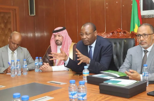 La coopération mauritano-saoudienne dans le domaine de l’exportation du bétail évoquée à Nouakchott
