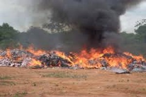 Mauritanie/Kobeni : Incinération de 382 kg de chanvre indien