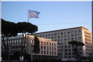 L’UE et la FAO injectent 73,5 millions $ dans deux programmes alimentaires en faveur de 35 pays