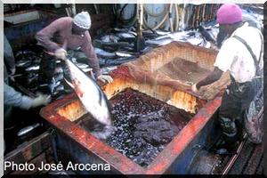 Sombres manœuvres dans le secteur de la pêche au thon