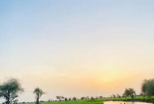 Trois morts dans des pluies torrentielles dans des wilayas de l’est, du centre et du nord du pays 